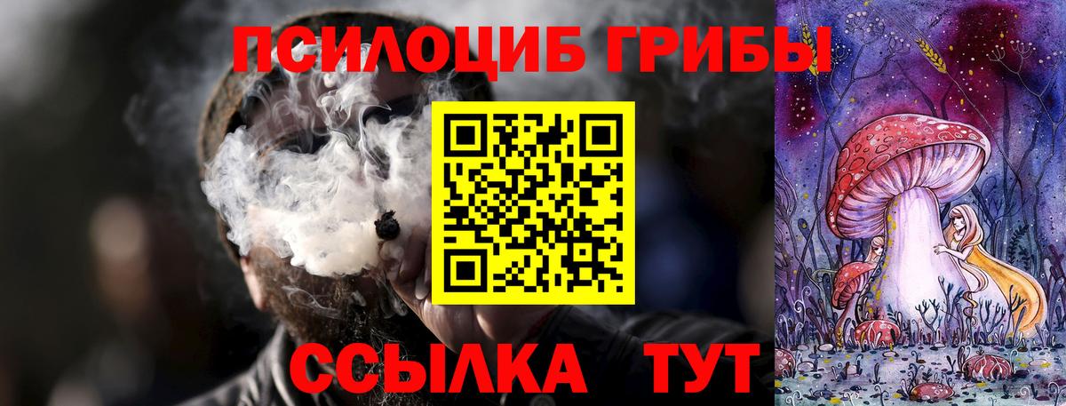 Галлюциногенные грибы прущие грибы Кемерово